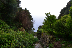 HIking from Monterosso al Mare to Vernazza in Cinque Terre Italy