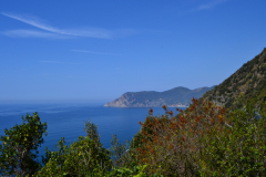 Hiking from Vernazza to Corniglia in Cinque Terre Italy