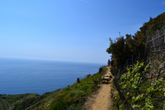 Hiking from Vernazza to Corniglia in Cinque Terre Italy