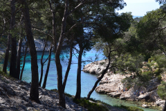 Hiking in the Calanques near Marseille, France