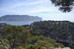 Hiking in the Calanques near Marseille, France