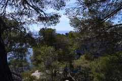 Hiking in the Calanques near Marseille, France