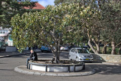 Scenes at Watsons Bay at South Head, Sydney, Australia