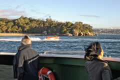 Sports boat on Sydney Cove in Sydney, Australia