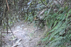 Scenery on a hike in the Blue Mountains, Australia