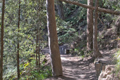 Scenery on a hike in the Blue Mountains, Australia