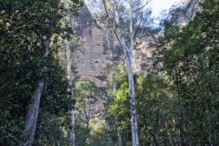 Scenery on a hike in the Blue Mountains, Australia