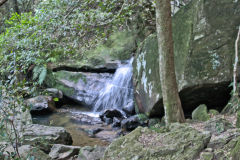 Scenery on a hike in the Blue Mountains, Australia