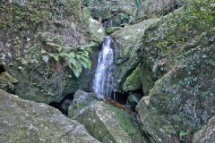 Scenery on a hike in the Blue Mountains, Australia