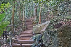 Scenery on a hike in the Blue Mountains, Australia