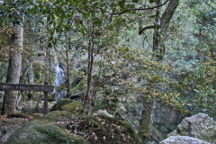 Scenery on a hike in the Blue Mountains, Australia