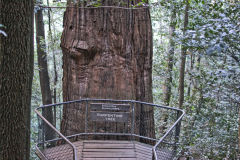 Scenery on a hike in the Blue Mountains, Australia