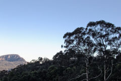 Scenery on a hike in the Blue Mountains, Australia