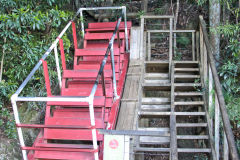 Scenery on a hike in the Blue Mountains, Australia