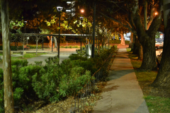 A night scene in the streets of Zetland, Sydney, Australia