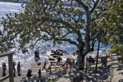 View in the Royal Botanical Garden Sydney, Australia