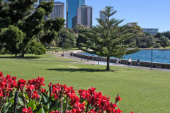 View in the Royal Botanical Garden Sydney, Australia