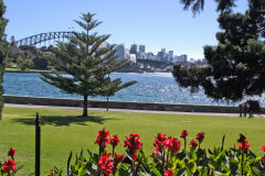 Sydney Harbour Bridge taken from the Royal Botanical Garden Sydney, Australia