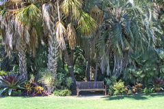 View in the Royal Botanical Garden Sydney, Australia