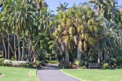 View in the Royal Botanical Garden Sydney, Australia