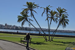 View in the Royal Botanical Garden Sydney, Australia