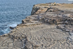 Scenery on a walk from Bondi Beach to Cape Banks in Winter in Sydney, Australia