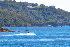 Water scenes at Sydney Cove on the ferry from Circular Quay to Manly, Sydney, Australia