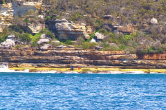Water scenes at Sydney Cove on the ferry from Circular Quay to Manly, Sydney, Australia