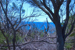 View on a hike at the North Cape near Manly in Sydney, Australia