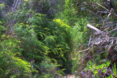 View on a hike at the North Cape near Manly in Sydney, Australia