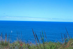 View on a hike at the North Cape near Manly in Sydney, Australia