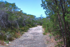 View on a hike at the North Cape near Manly in Sydney, Australia