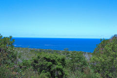 View on a hike at the North Cape near Manly in Sydney, Australia