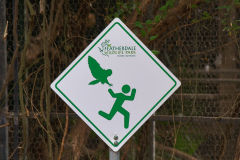 Danger! Birds attacking people. Fear everything!