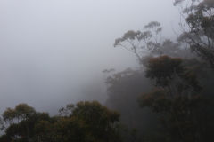 Fog around the Three Sisters in the Blue Mountains, Australia