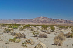 Landscape in the Joshua Tree National Park, California, USA