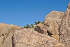 Landscape in the Joshua Tree National Park, California, USA