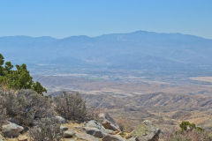 Landscape in the Joshua Tree National Park, California, USA