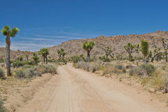 Landscape in the Joshua Tree National Park, California, USA