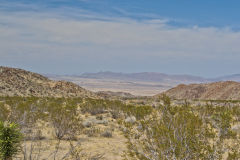 Landscape in the Joshua Tree National Park, California, USA