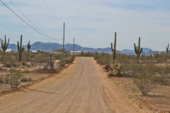 Landscape near Phoenix, Arizona, USA
