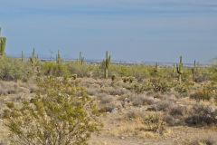 Landscape in the White Tank Mountain Regional Park near Phoenix, Arizona, USA