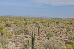 Landscape in the White Tank Mountain Regional Park near Phoenix, Arizona, USA