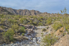 Landscape in the White Tank Mountain Regional Park near Phoenix, Arizona, USA