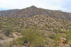 Landscape in the White Tank Mountain Regional Park near Phoenix, Arizona, USA