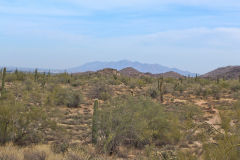Landscape in the White Tank Mountain Regional Park near Phoenix, Arizona, USA