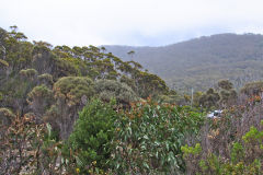 Tasmanian landscape around Pirates Bay Blow Hole on Tasman Peninsula.