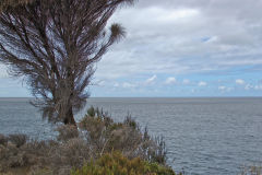 Ocean view at Tasman Arch in Tasmania on Tasman Peninsula.