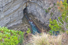 Landscape around Devils Kitchen in Tasmania on Tasman Peninsula.