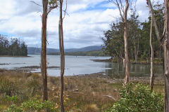 Lake in Tasmania Tasmanian Devil Unzoo on Tasman Peninsula.